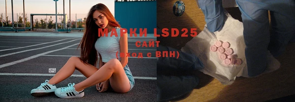 эйфоретик Алзамай