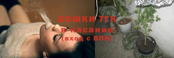 соль ск Алексин