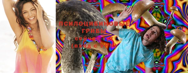 спиды Абаза