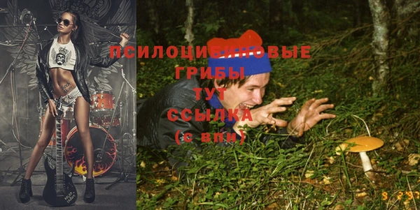 соль ск Алексин